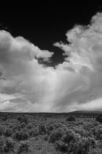 Preview wallpaper clouds, landscape, bw, bushes, trees, hills