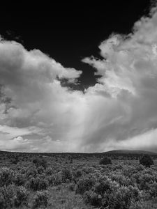 Preview wallpaper clouds, landscape, bw, bushes, trees, hills