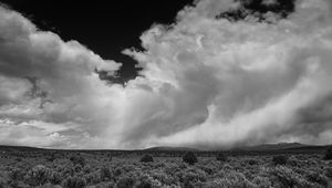 Preview wallpaper clouds, landscape, bw, bushes, trees, hills