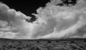 Preview wallpaper clouds, landscape, bw, bushes, trees, hills