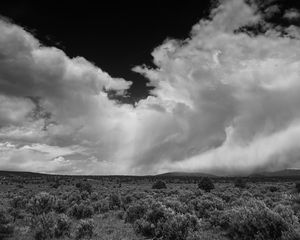 Preview wallpaper clouds, landscape, bw, bushes, trees, hills