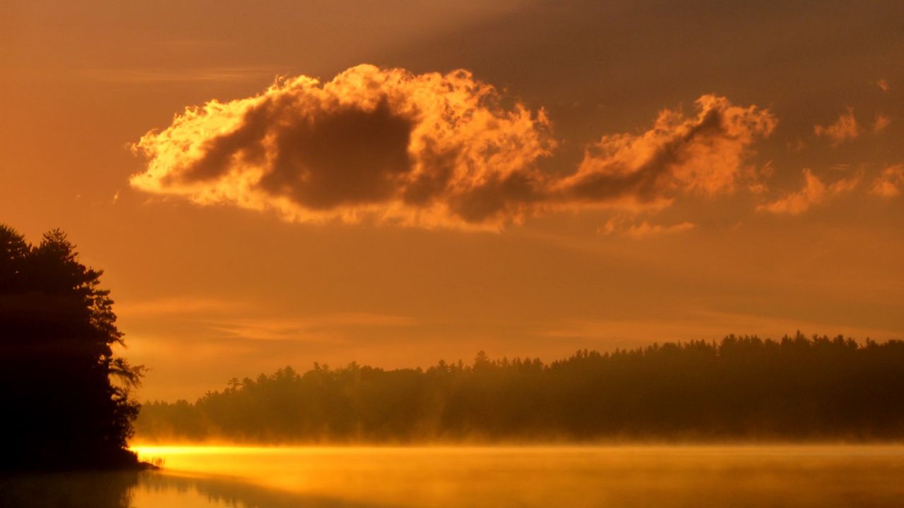 Wallpaper clouds, morning, dawn, lake, trees, fog