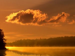 Preview wallpaper clouds, morning, dawn, lake, trees, fog