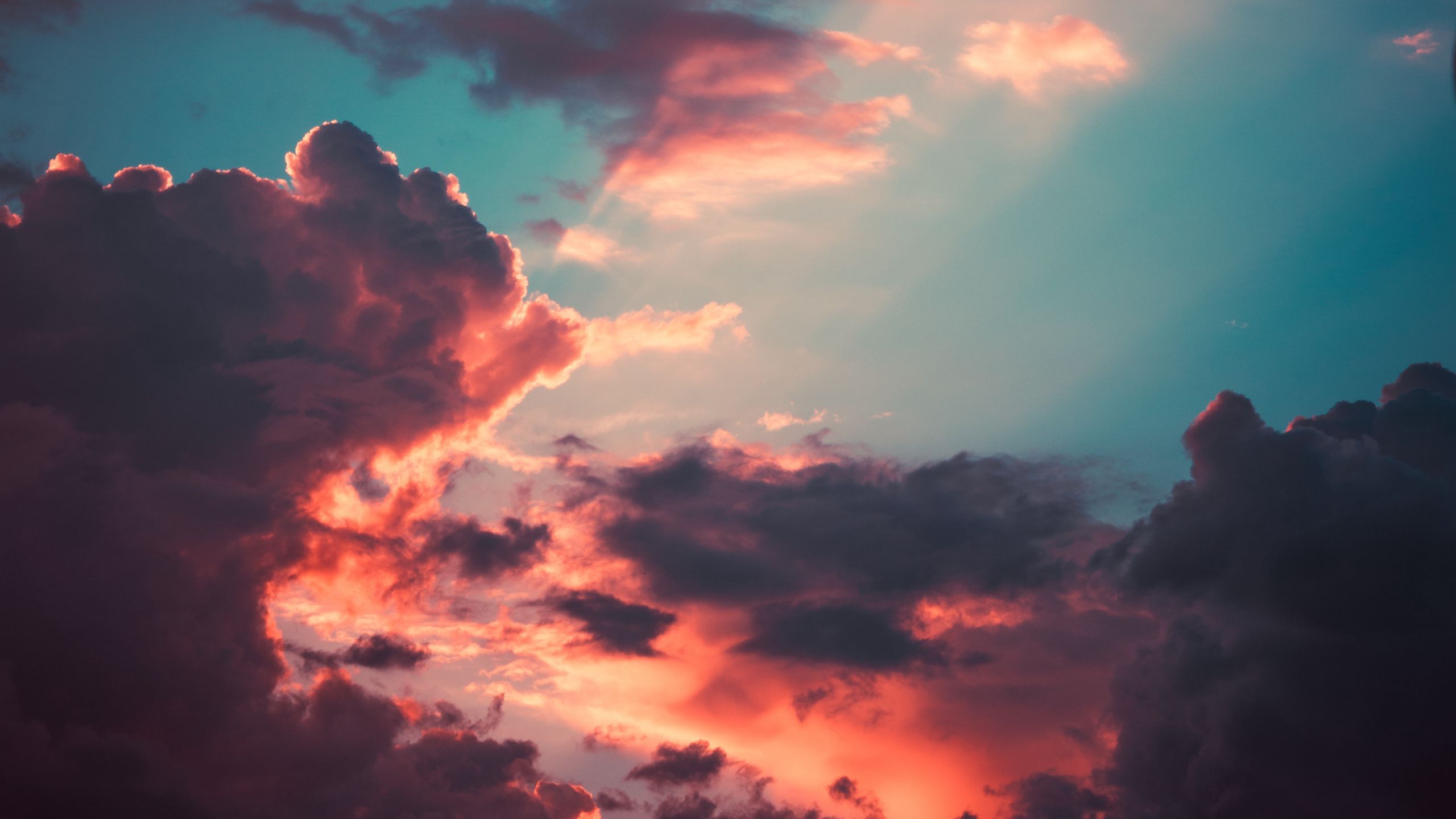 Download wallpaper 2560x1440 clouds, porous, sky, sunset, overcast ...