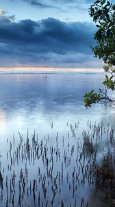 Preview wallpaper clouds, sea, surface of the water, grass, bushes, trees