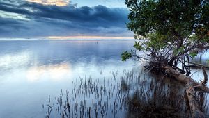 Preview wallpaper clouds, sea, surface of the water, grass, bushes, trees