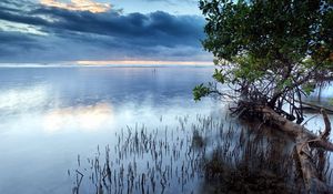 Preview wallpaper clouds, sea, surface of the water, grass, bushes, trees