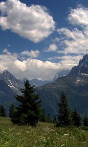 Preview wallpaper clouds, sky, blue, fir-trees, trees, slope, herbs, summer, freshness, mountain air