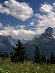 Preview wallpaper clouds, sky, blue, fir-trees, trees, slope, herbs, summer, freshness, mountain air