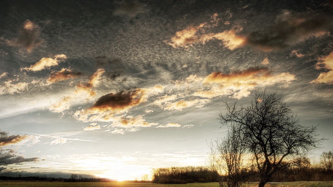 Wallpaper clouds, sky, field, grass, tree, sun