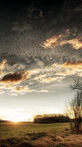 Preview wallpaper clouds, sky, field, grass, tree, sun