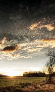 Preview wallpaper clouds, sky, field, grass, tree, sun