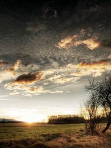 Preview wallpaper clouds, sky, field, grass, tree, sun