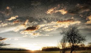 Preview wallpaper clouds, sky, field, grass, tree, sun