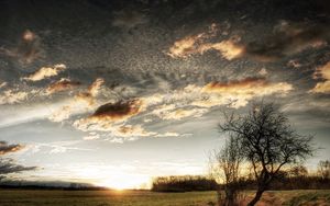 Preview wallpaper clouds, sky, field, grass, tree, sun