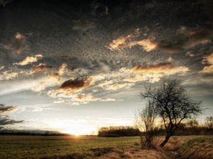 Preview wallpaper clouds, sky, field, grass, tree, sun