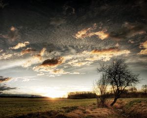 Preview wallpaper clouds, sky, field, grass, tree, sun