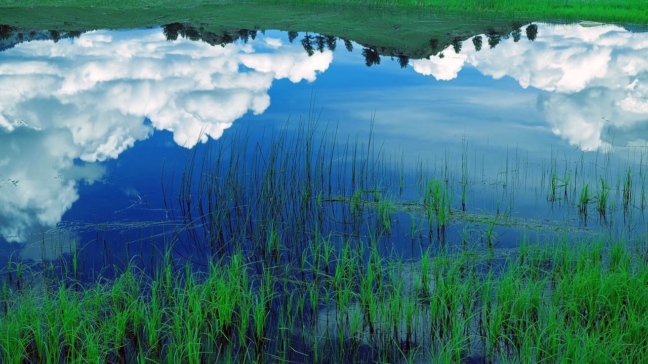 Wallpaper clouds, sky, field, grass, reflection, lake, blue, white, green