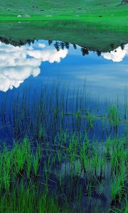 Preview wallpaper clouds, sky, field, grass, reflection, lake, blue, white, green