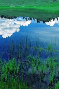 Preview wallpaper clouds, sky, field, grass, reflection, lake, blue, white, green