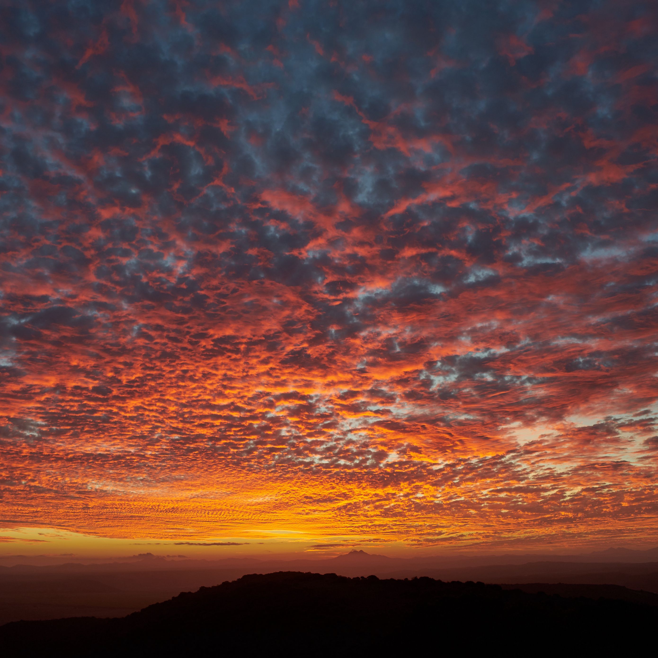 Download Wallpaper 2780x2780 Clouds Sky Fiery Sunset Ipad Air Ipad Air 2 Ipad 3 Ipad 4 Ipad Mini 2 Ipad Mini 3 Ipad Mini 4 Ipad Pro 9 7 For Parallax Hd Background