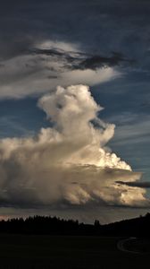 Preview wallpaper clouds, sky, forest, dusk