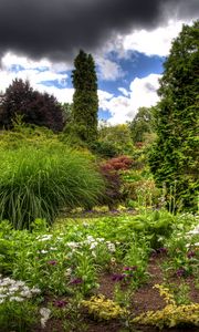 Preview wallpaper clouds, sky, garden, green, vegetation, cloudy, brightly