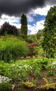 Preview wallpaper clouds, sky, garden, green, vegetation, cloudy, brightly