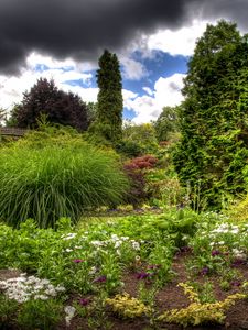 Preview wallpaper clouds, sky, garden, green, vegetation, cloudy, brightly