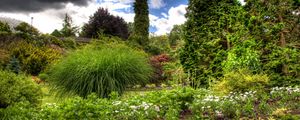 Preview wallpaper clouds, sky, garden, green, vegetation, cloudy, brightly