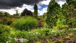 Preview wallpaper clouds, sky, garden, green, vegetation, cloudy, brightly