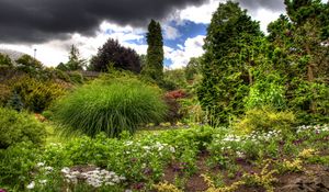 Preview wallpaper clouds, sky, garden, green, vegetation, cloudy, brightly