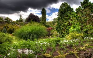 Preview wallpaper clouds, sky, garden, green, vegetation, cloudy, brightly