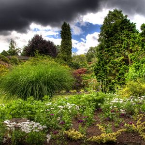 Preview wallpaper clouds, sky, garden, green, vegetation, cloudy, brightly