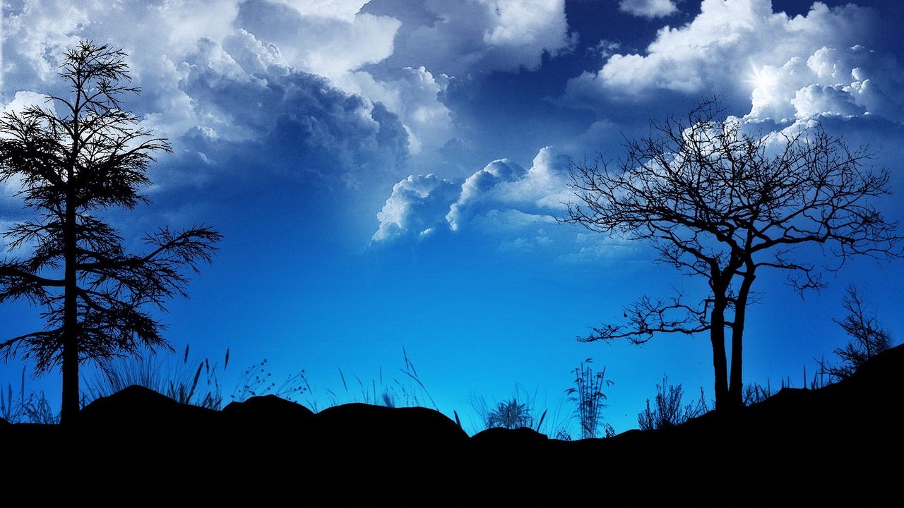 Wallpaper clouds, sky, night, outlines, blue, black, trees