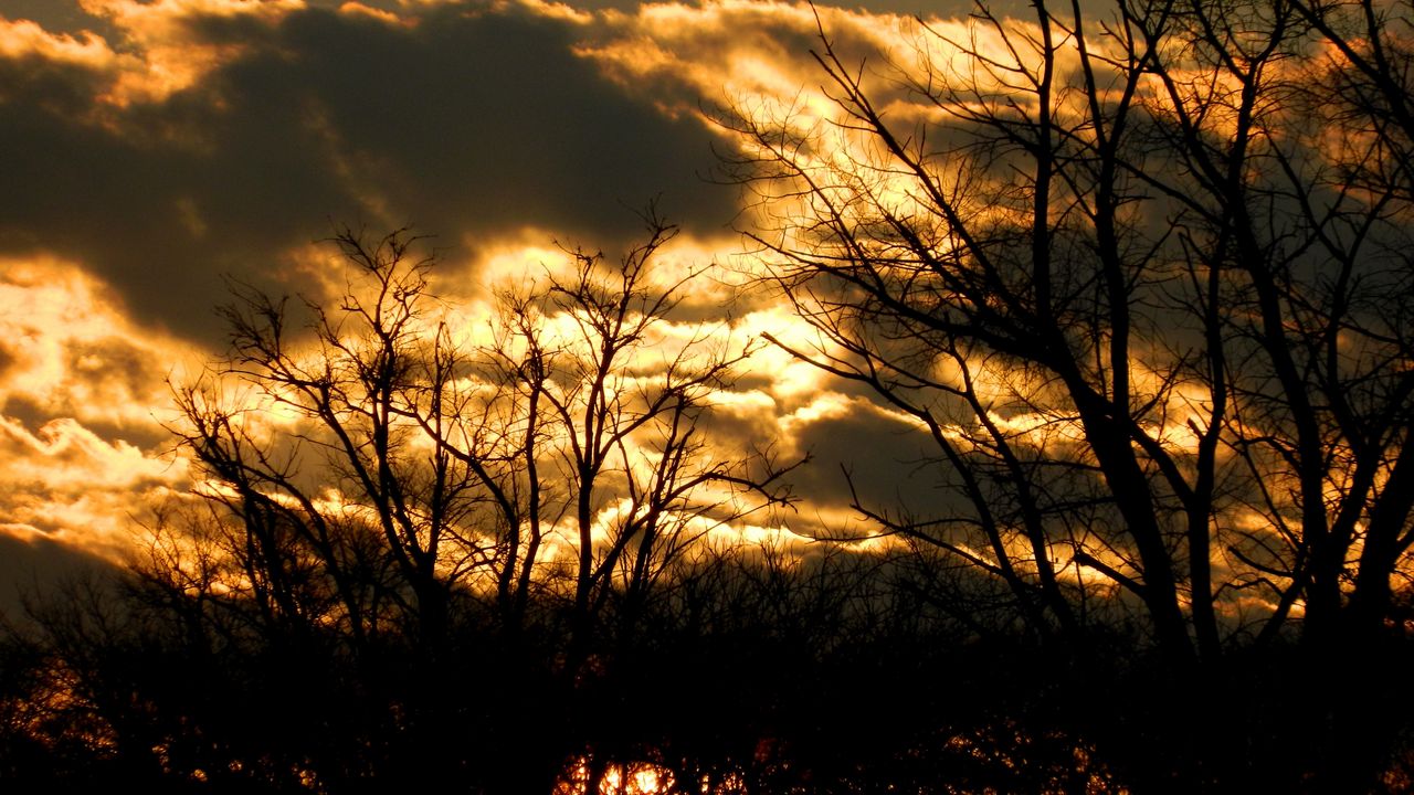 Wallpaper clouds, sky, outlines, trees, color