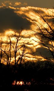 Preview wallpaper clouds, sky, outlines, trees, color