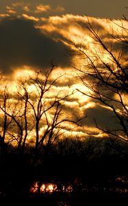 Preview wallpaper clouds, sky, outlines, trees, color