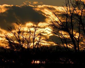 Preview wallpaper clouds, sky, outlines, trees, color