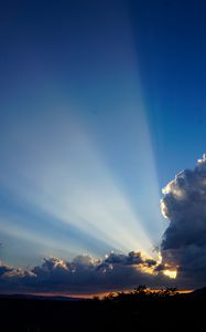 Preview wallpaper clouds, sky, rays, branches, distance