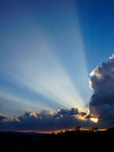 Preview wallpaper clouds, sky, rays, branches, distance