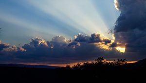 Preview wallpaper clouds, sky, rays, branches, distance