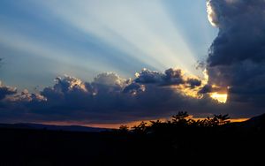 Preview wallpaper clouds, sky, rays, branches, distance