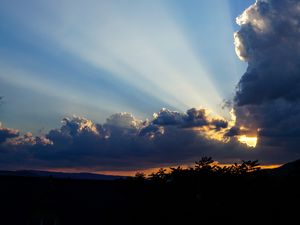 Preview wallpaper clouds, sky, rays, branches, distance