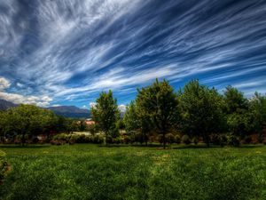 Preview wallpaper clouds, sky, summer, dark blue, green, white, trees, garden