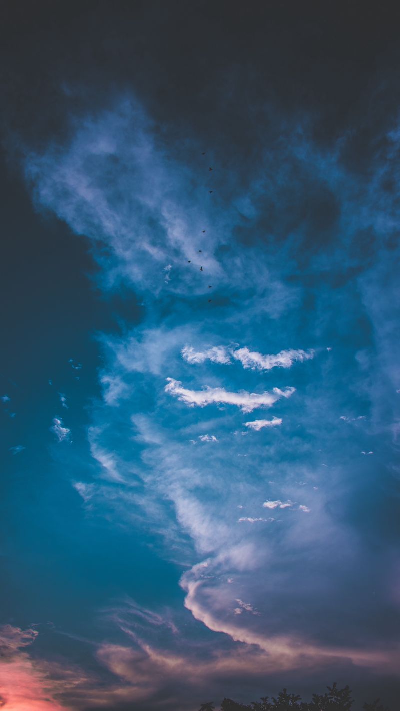 Download Wallpaper 800x1420 Clouds Sky Sunset Dusk Birds Cloudy