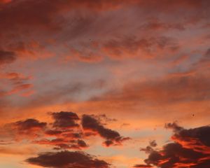 Preview wallpaper clouds, sky, sunset, pink, beautiful