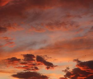 Preview wallpaper clouds, sky, sunset, pink, beautiful
