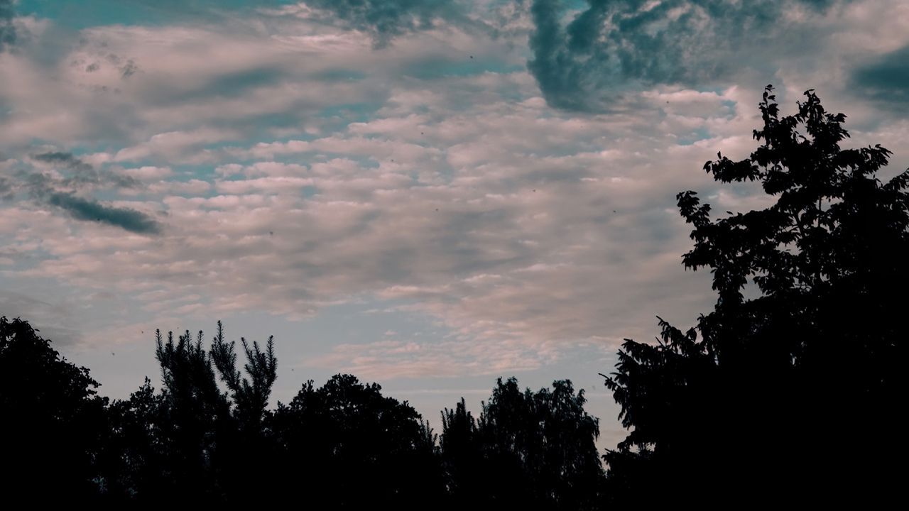 Wallpaper clouds, sky, trees, dark