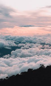 Preview wallpaper clouds, sky, trees, beautiful